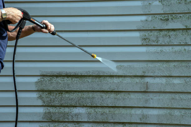 Best Driveway Pressure Washing  in Riverside, AL